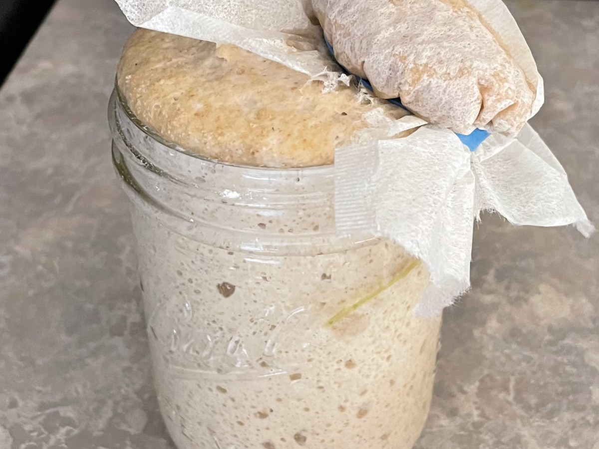 How To Make A Sourdough&nbsp;Starter